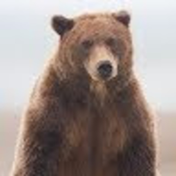 Meet your Posher, Barbie - Picture 1 of 1